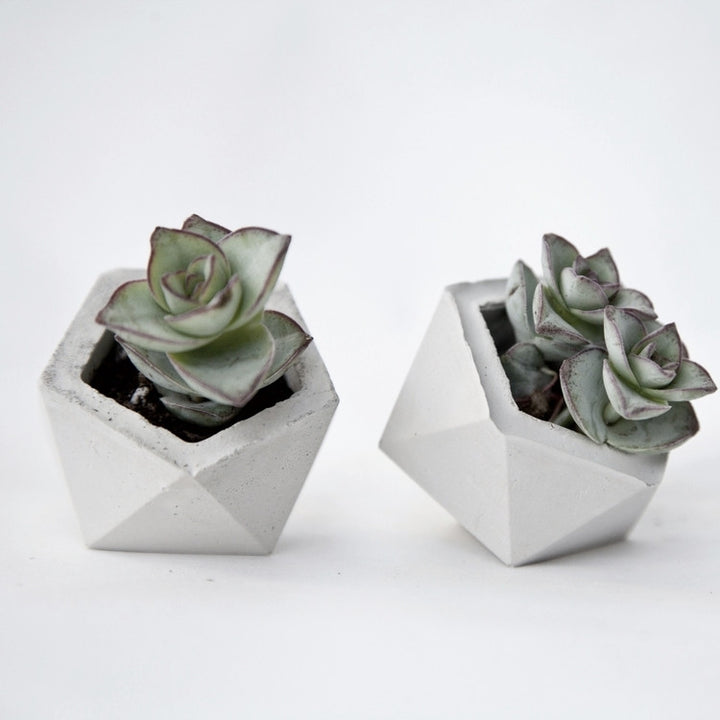 Artisan Spotlight: Concrete Geometric