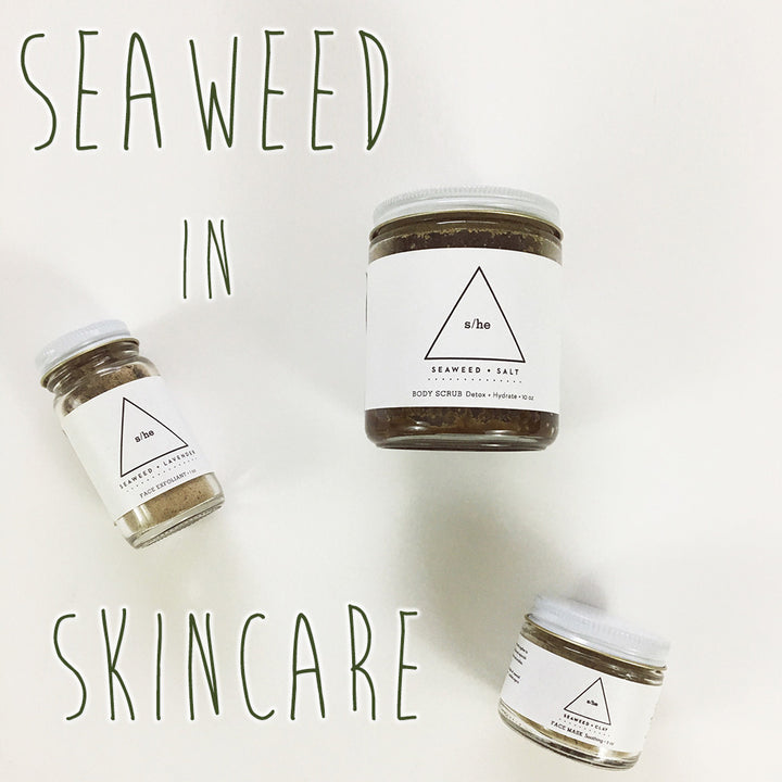 Healthy Living: Seaweed in Skincare